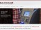 Reel Ventures Website